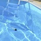 Bovengronds zwembad TOI Magnum ovaal 550x366xH132 Antraciet met veiligheidsladder